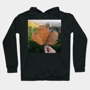 Fall leaf photography Hoodie